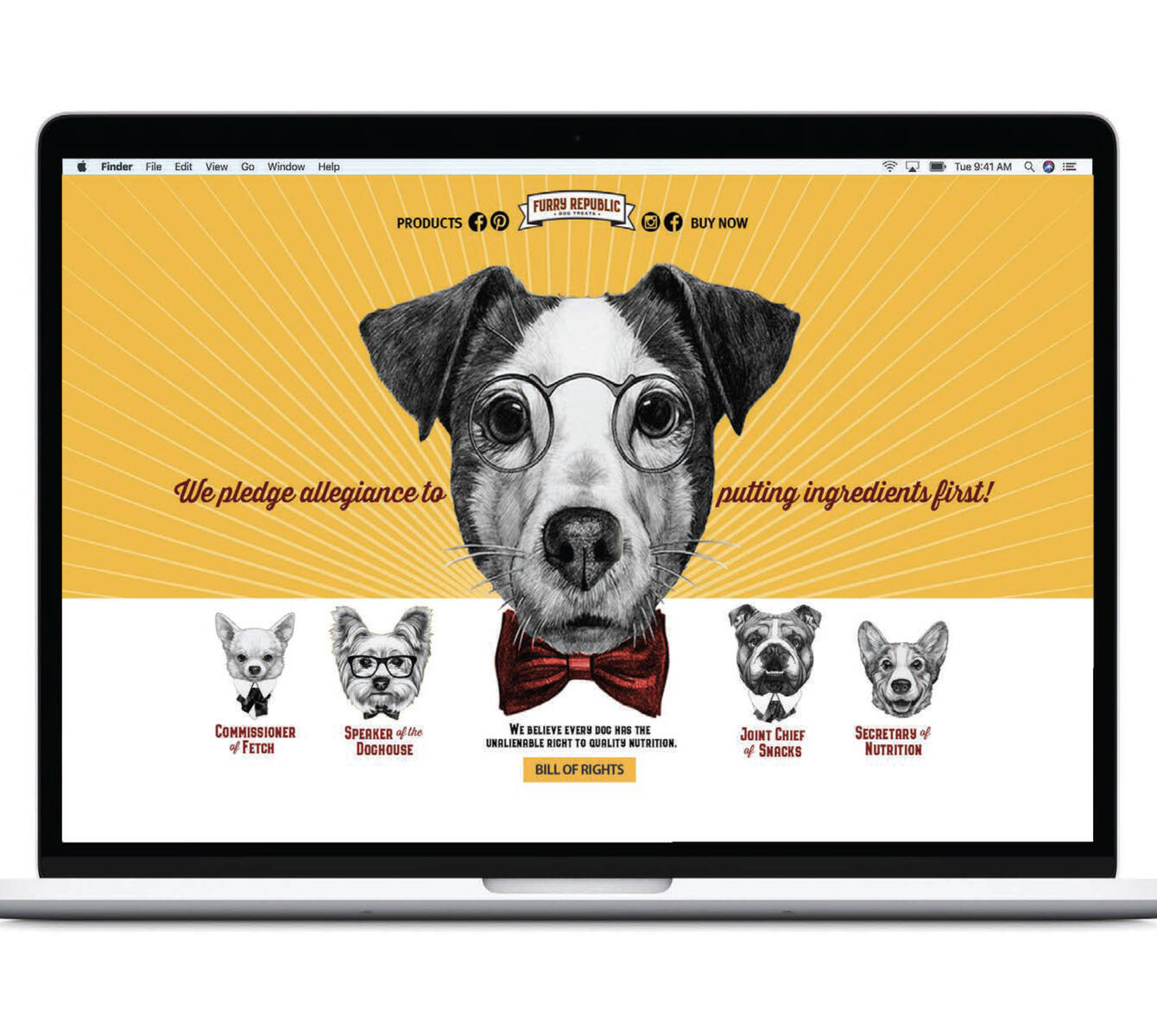 Furry Republic Dog Treats